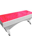 Theia Red Light Therapy Bed Infrared Therapy 1000pcs (480pcs 660nm/ 520pcs 850nm) Led Chips