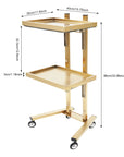 2-Tier Rolling Salon Trolley – Stainless Steel Beauty Cart with Wheels