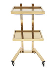 2-Tier Rolling Salon Trolley – Stainless Steel Beauty Cart with Wheels