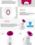 Theia Ionic Facial Pro Hydro-Mist Steamer