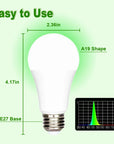 Theia Green Light Bulb