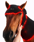 Red & Near-Infrared LED Horse Back Blanket – Equine Wellness Light Wrap (660nm & 850nm