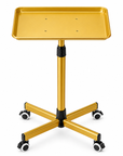 Professional Adjustable Beauty Salon Trolley with Aluminum Tray & Wheels – Gold
