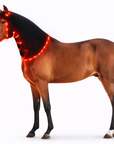 Red & Near-Infrared LED Horse Back Blanket – Equine Wellness Light Wrap (660nm & 850nm