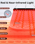 Theia Flexible Red Light Therapy Panel