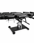 Theia Professional Hydraulic Tattoo & Beauty Treatment Chair