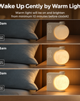 Sunrise Alarm Clock with 3D Moon Lamp, 10 Ambient Light Effects & Nature Sounds