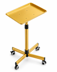 Professional Adjustable Beauty Salon Trolley with Aluminum Tray & Wheels – Gold