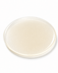 360 Hydrocolloid Blemish Patches