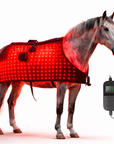 Horse Red & Near-Infrared LED Back Blanket – Battery-Powered Equine Wellness Light Pad
