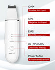 Ultrasonic Ion Skin Scrubber