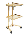 2-Tier Rolling Salon Trolley – Stainless Steel Beauty Cart with Wheels