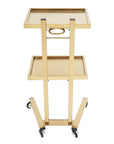2-Tier Rolling Salon Trolley – Stainless Steel Beauty Cart with Wheels