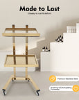 2-Tier Rolling Salon Trolley – Stainless Steel Beauty Cart with Wheels