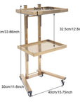 2-Tier Rolling Salon Trolley – Stainless Steel Beauty Cart with Wheels