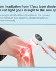 Theia UltraSkinPro - Infrared Pain Laser