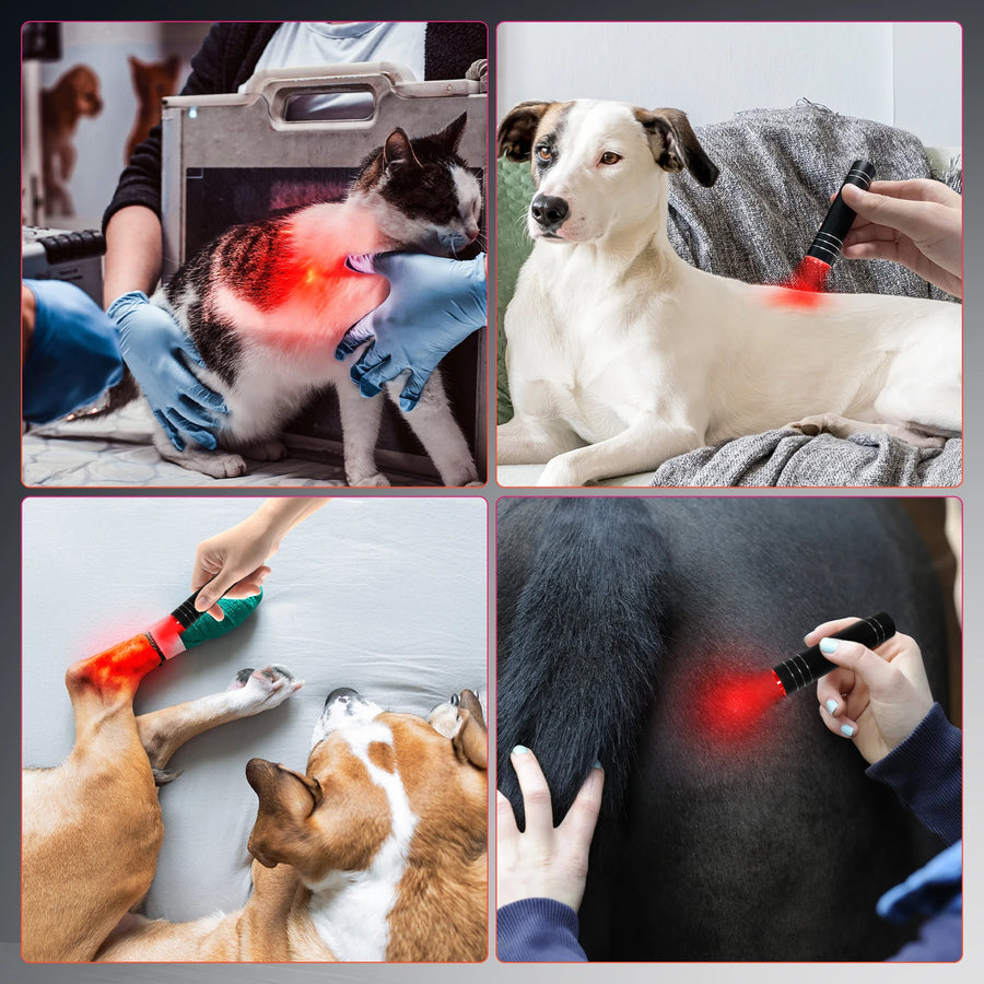 Red Light Therapy Target Torch – Portable & Powerful Light Therapy for Skin, Sleep & Recovery