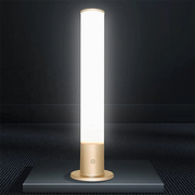 10,000 Lux Intelligent Phototherapy Lamp with Bio-Rhythm Lighting