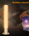 10,000 Lux Intelligent Phototherapy Lamp with Bio-Rhythm Lighting