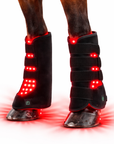 Horse Red & Near-Infrared LED Light Pad – Equine Wellness Light Device