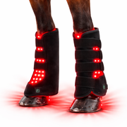 Horse Red & Near-Infrared LED Light Pad – Equine Wellness Light Device