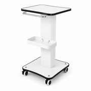 Professional Beauty Salon Trolley – Rolling Machine & Equipment Stand