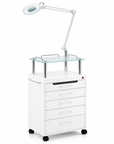 Beauty Salon Trolley with Magnifying Lamp & Drawers | THEIA