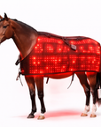 Horse Red & Near-Infrared LED Back Blanket – Battery-Powered Equine Wellness Light Pad