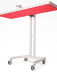 RT1000 Glow 630nm:660nm:810nm Red Light Therapy System for Body and Skin