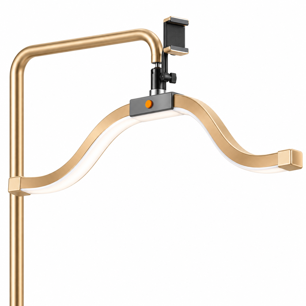 Professional 2-in-1 Curved LED Beauty Floor Lamp